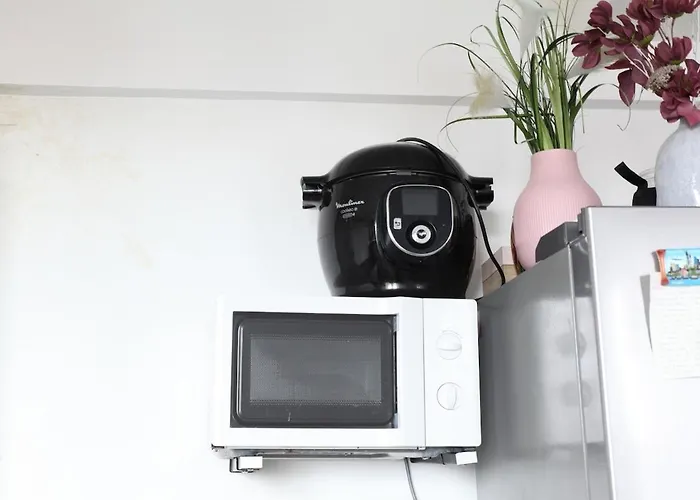 Grand T3 5min Stade Pierre Mauroy Appartement *