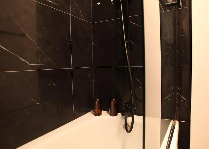 Grand T3 5min Stade Pierre Mauroy Appartement